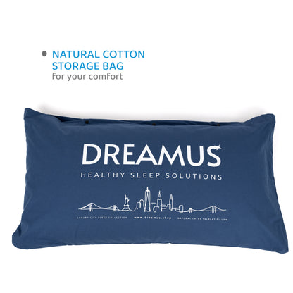 King Size Natural Latex Pillow